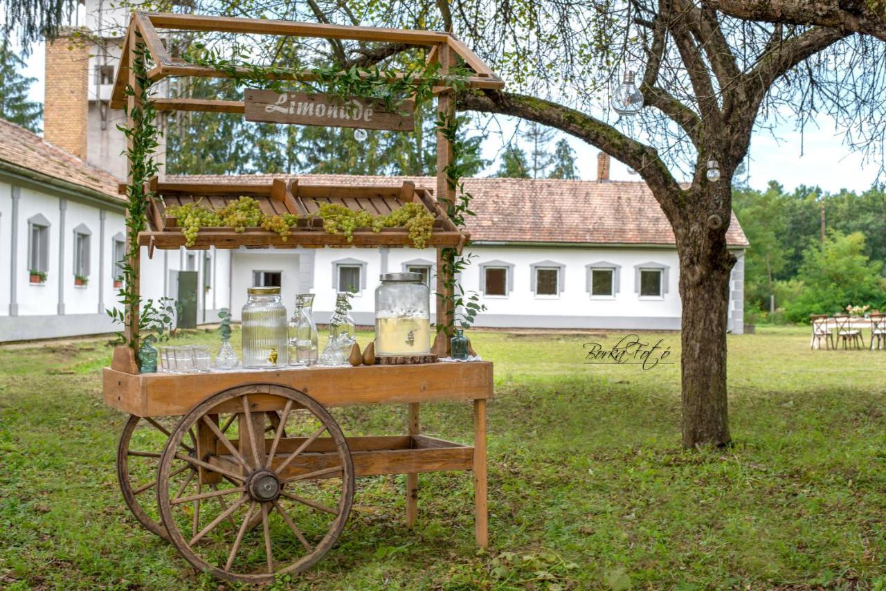 Szentpeterfa Green Paradise Vendeg Es Rendezvenyhaz 아파트 외부 사진